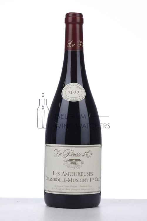Picture of 2022 CHAMBOLLE MUSIGNY LES AMOUREUSES